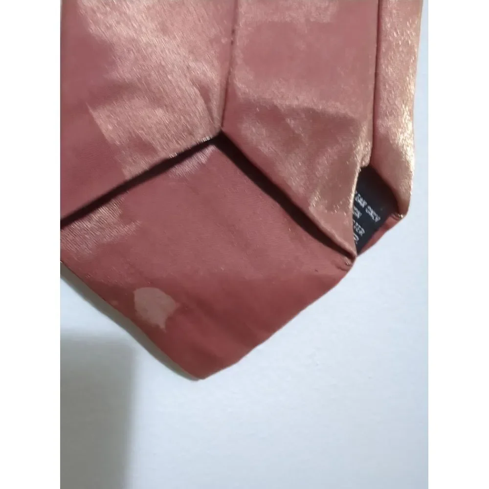 Gino Fabrini Mens Rust Orange Shimmer Solid‎ Necktie Rayon Blend Formal Tie